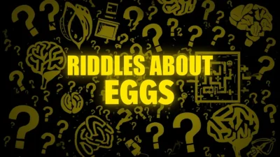 Riddles About Eggs