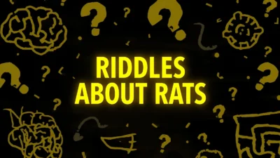 Riddles About Rats