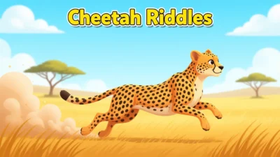Cheetah Riddles