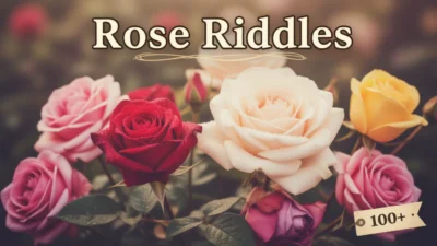 Rose Riddles